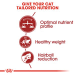 Royal Canin Fit 32 benefits: optimal nutrient profile, healthy weight, hairball reduction
