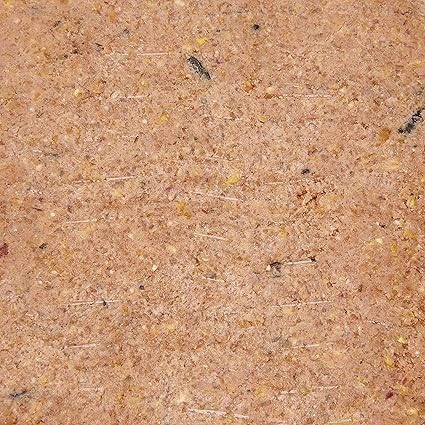 Wild bird Suet Energy Block with Berry - Valuepet.ie