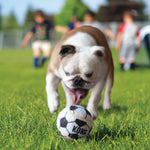 KONG Sport Balls - Valuepet.ie