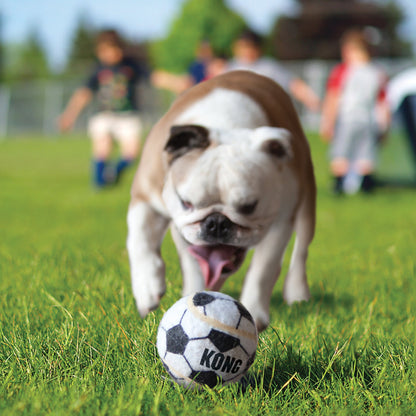 KONG Sport Balls - Valuepet.ie