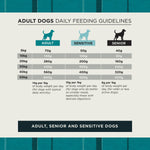 Burns adult, sensitive and senior dog daily feeding guidelines in grams by dog weight