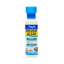 API Prevent Algae 237ml