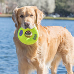 KONG AirDog Donut - Valuepet.ie