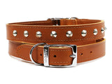 Ancol S6 Sewn Studded Dog Collar Tan 22"