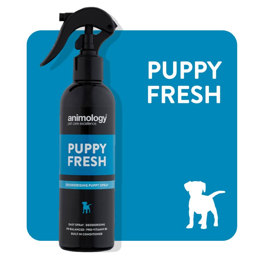 Animology Dogs Body Shampoo 250ml