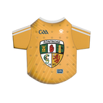 Antrim GAA Pet Jersey