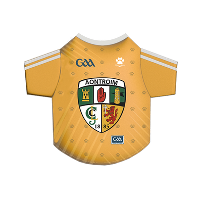 Antrim GAA Pet Jersey