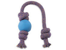 Beco Ball on Rope Dog Toy - Valuepet.ie