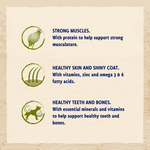 BETA Adult Chicken benefits: strong muscles, healthy skin and shiny coat, healthy teeth and bones