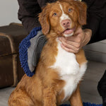 Scruffs Noodle Mitt - Valuepet.ie