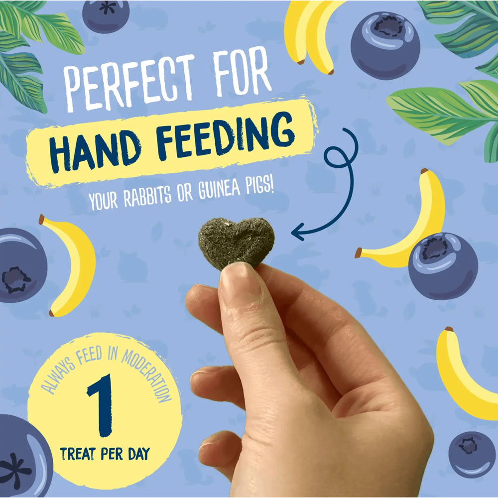 Burgess Excel Fruity Feasts Treats for Rabbits and Guinea Pigs – 60g - Valuepet.ie