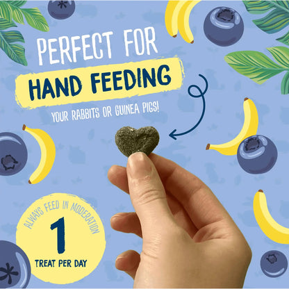 Burgess Excel Fruity Feasts Treats for Rabbits and Guinea Pigs – 60g - Valuepet.ie