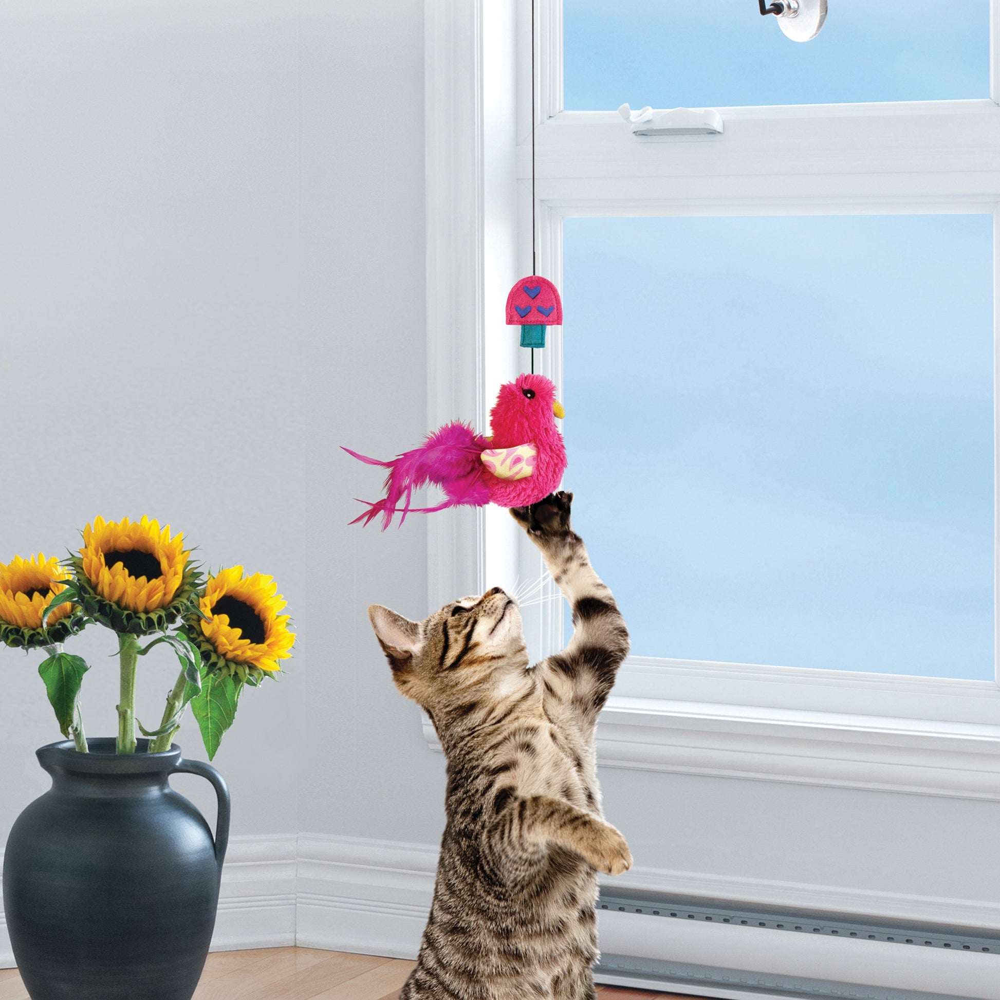 KONG Connects Window Teaser - Valuepet.ie