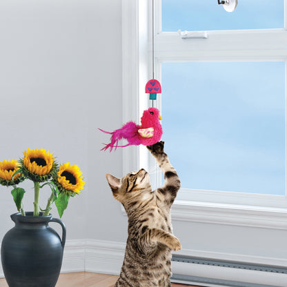 KONG Connects Window Teaser - Valuepet.ie