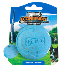 Chuckit! Medium EcoFriendly Ball Dog Toy