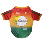 Carlow GAA Pet Jersey