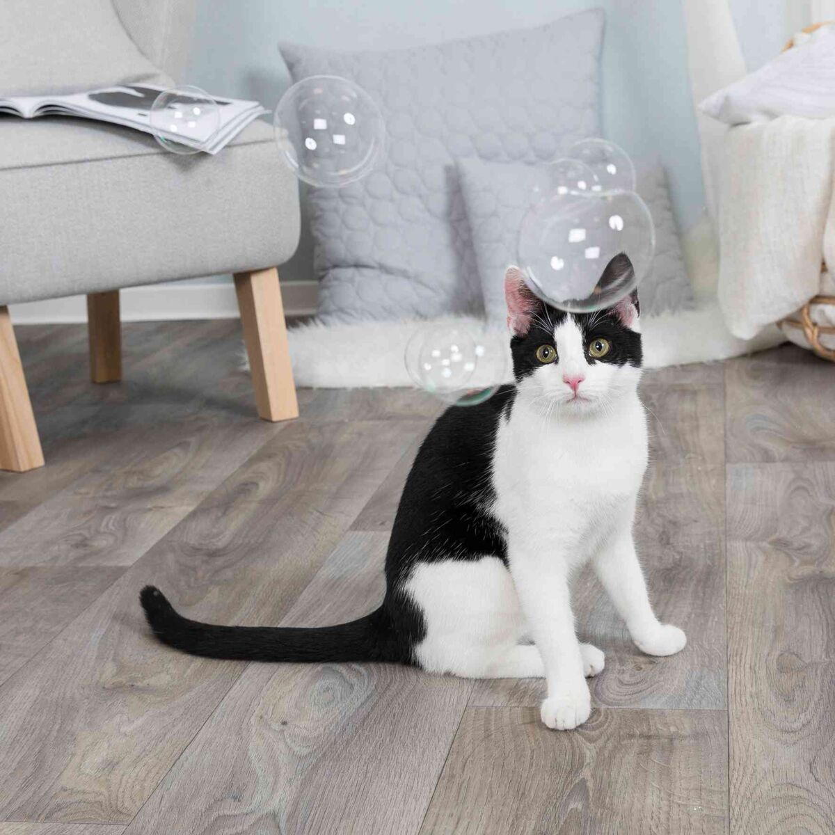 Trixie Catnip Bubbles - PetWorld