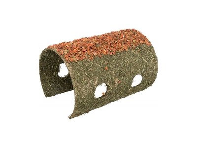 Small Pet Cave With Carrot - PetWorld