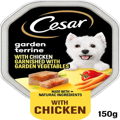 Wet dog food tray