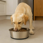 Chanelle Non Slip Steel Bowl Lifeshot