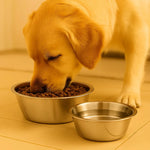 Chanelle Stainless Steel Food and Water bowl