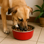 Selecta Red Dog Food bowl