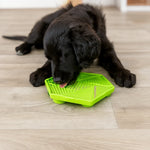 Trixie Lick'n'Snack Mat With Suction Pads – Green 17cm
