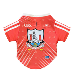 Cork GAA Pet Jersey