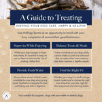 Hollings Sprats 100g