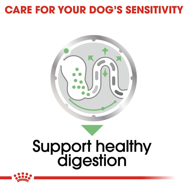 Royal Canin DIgestive care Loaf 85g Pouch - Valuepet.ie