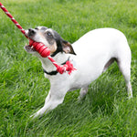 KONG Dental with Rope - Valuepet.ie