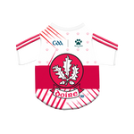 Derry GAA Pet Jersey