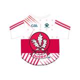 Derry GAA Pet Jersey