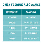 Naturo Adult Grain-Free Wet Dog Food – Turkey, Potato & Vegetables