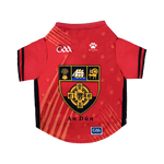 Down GAA Pet Jersey