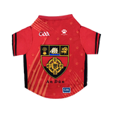 Down GAA Pet Jersey