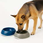 Twin bowl for pets