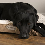 Scruffs Ellen Mattress 82 x 58 x 6cm - PetWorld
