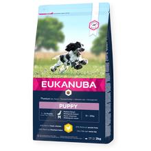 Eukanuba Puppy Medium Breed Chicken Dog Food 2kg - PetWorld