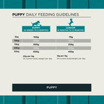Burns puppy and junior daily feeding guide by body weight