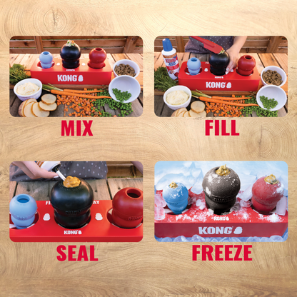 KONG  Fill or Freeze Tray - Valuepet.ie