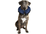 Flamingo Inflatable Dog Collar
