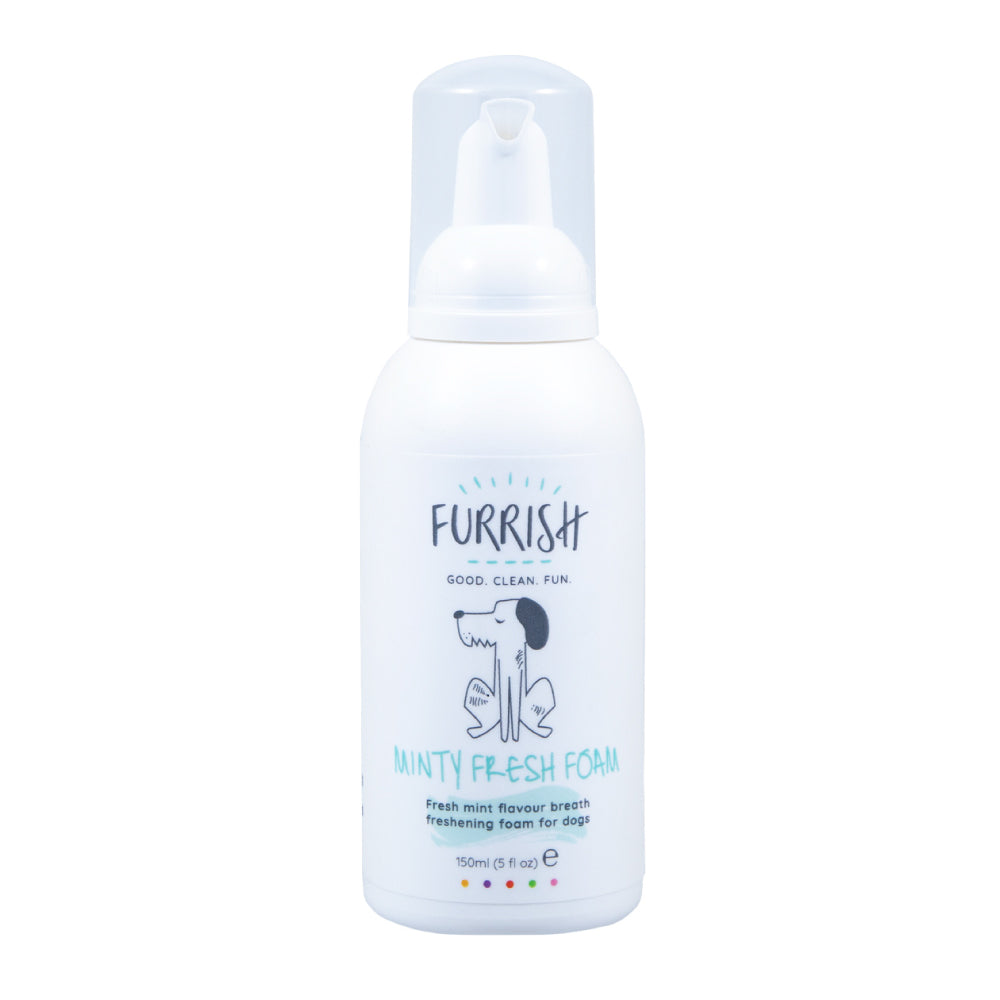 Furrish Minty Fresh Foam 150ml - Valuepet.ie
