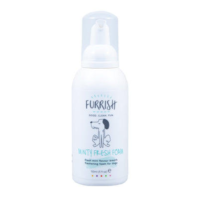 Furrish Minty Fresh Foam 150ml - Valuepet.ie