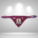 Galway GAA Pet Bandana