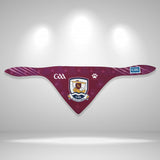 Galway GAA Pet Bandana