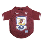 Galway GAA Pet Jersey