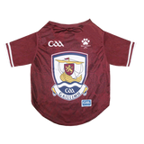 Galway GAA Pet Jersey
