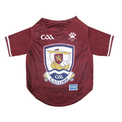 Galway GAA Pet Jersey