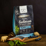 Go Native Puppy Organic Salmon dog food bag with fresh salmon, spinach, ginger and blueberries